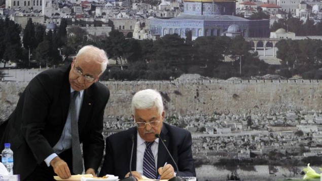 Israel rejects proposal to restart talks with Palestine - ảnh 1